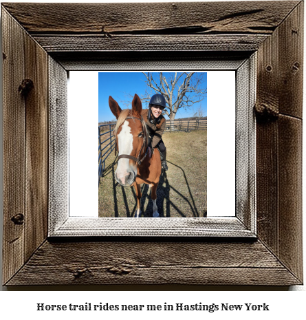 horse trail rides near me in Hastings, New York